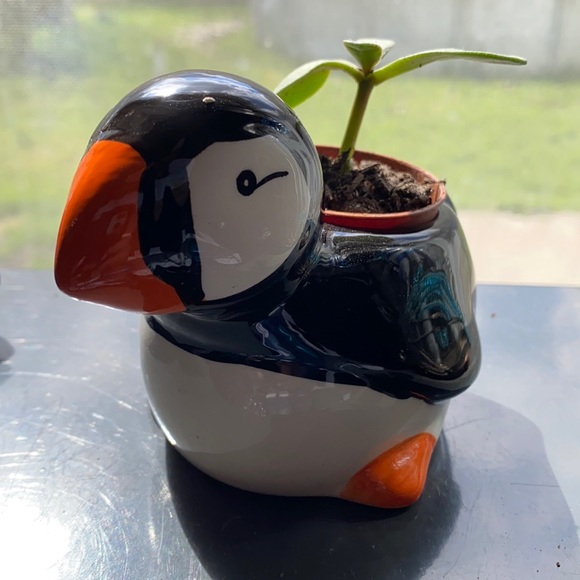 Pepper Penguin Ceramic Animal Planter 🐧🌱 - Picture 3 of 4
